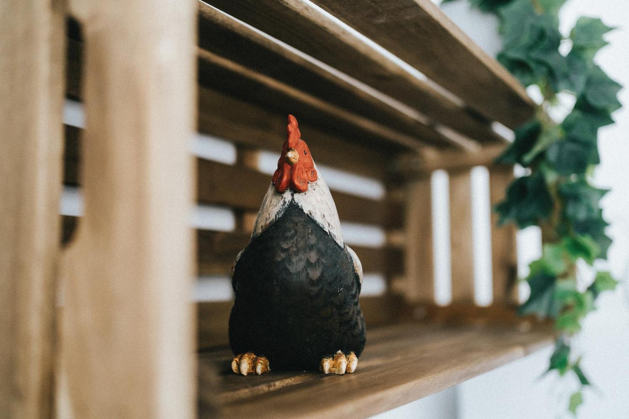 Águas de Moura Humus Farmヴィラ 部屋 写真
