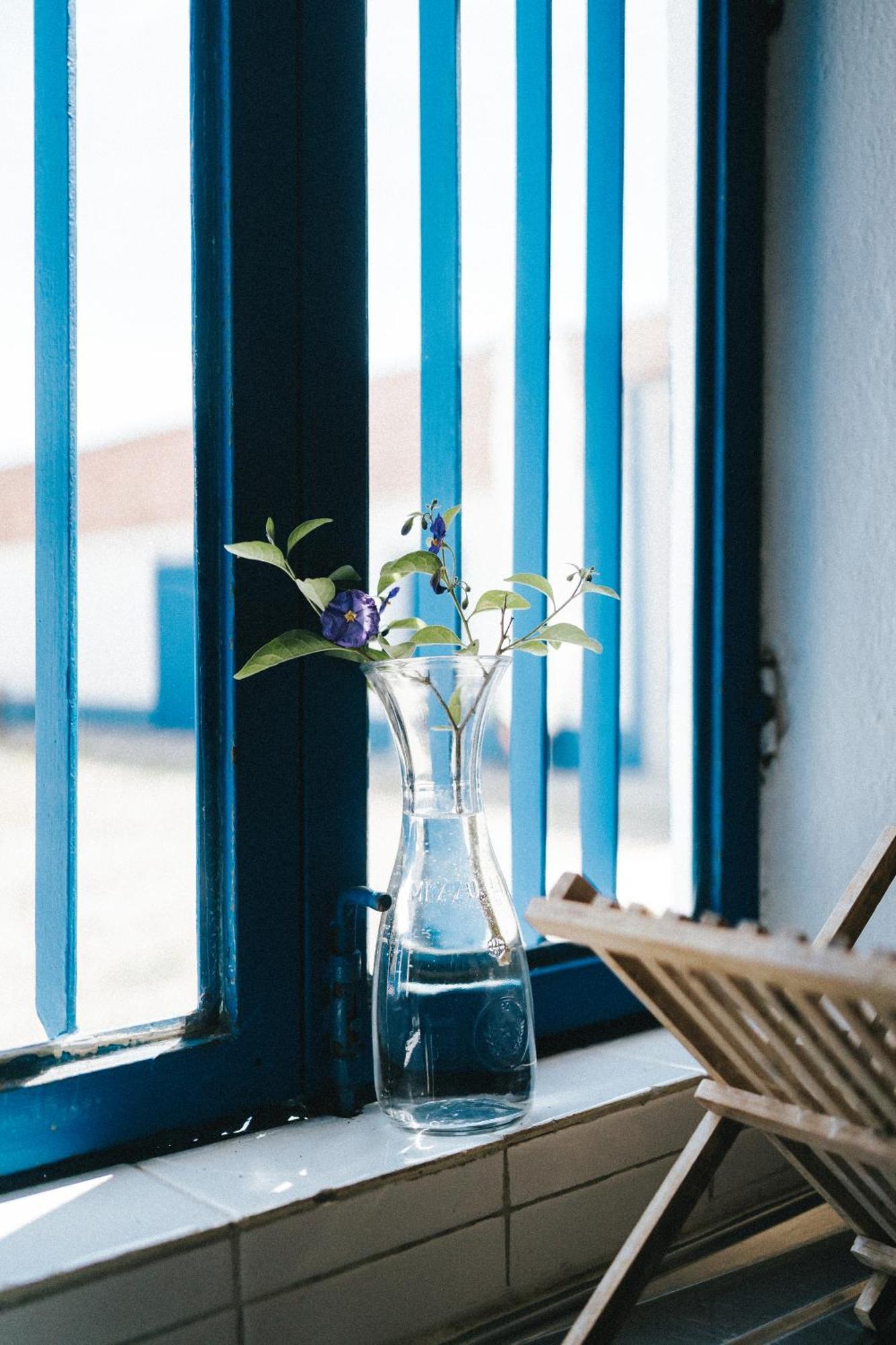 Águas de Moura Humus Farmヴィラ 部屋 写真