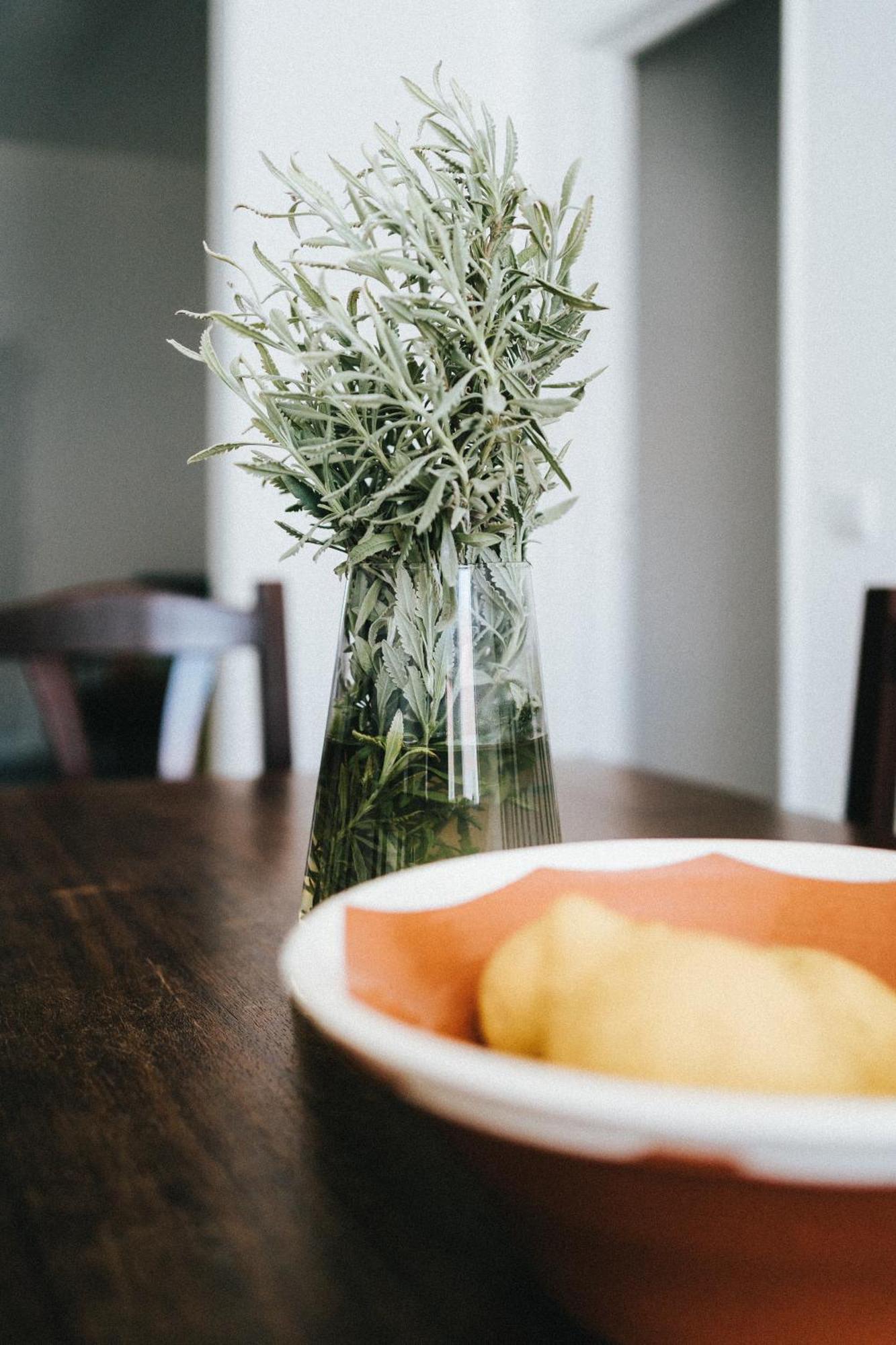 Águas de Moura Humus Farmヴィラ 部屋 写真